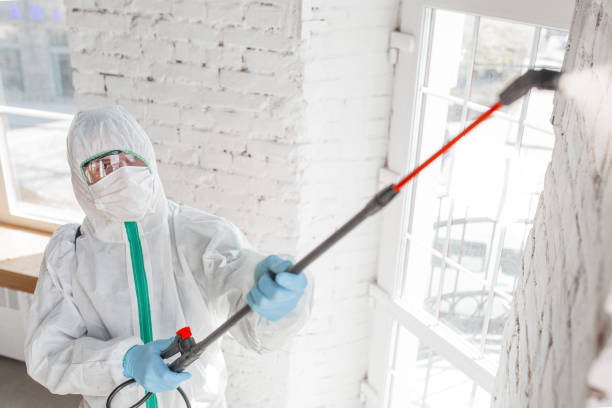 Best Indoor Air Quality Assessment  in Sunnyside, CA