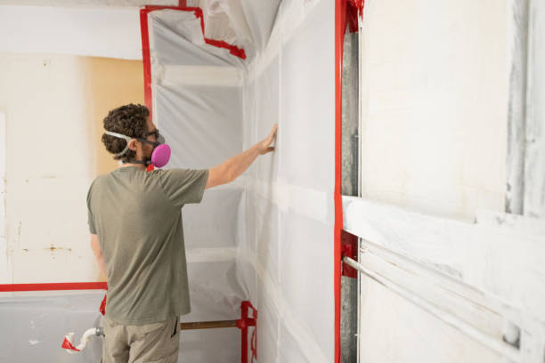 Best Mold Damage Restoration  in Sunnyside, CA