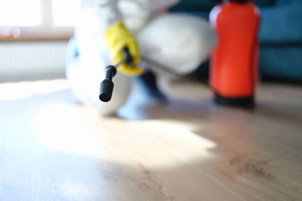 Best Biohazard Mold Removal  in Sunnyside, CA