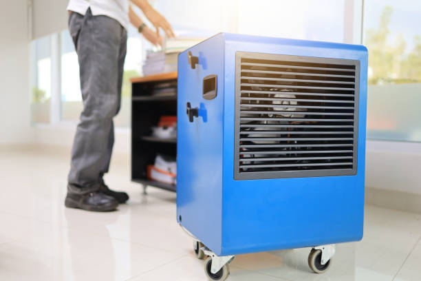 Best Water Damage & Mold Remediation  in Sunnyside, CA